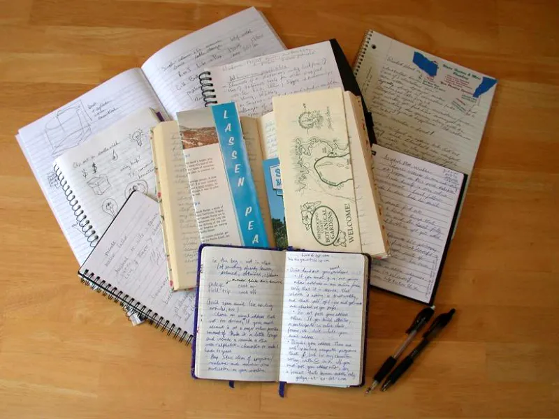 Mon année en couleurs : le journal où l'on colle une chanson sur chaque jour